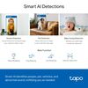 Δικτυακή κάμερα TP-LINK TAPO C220 V1 PAN TILT AI home security WI-FI