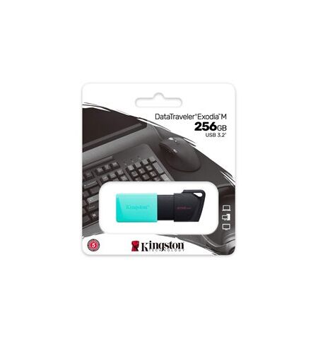 USB stick KINGSTON  256GB DataTraveler Exodia M 3.2 Gen 1