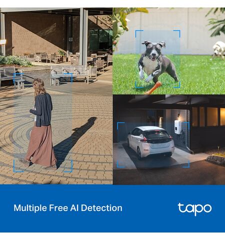 Εξωτερική wi-fi camera TP-LINK TAPO C520WS pan/tilt security